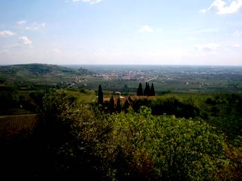 Soave landscape