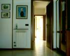 the apartment